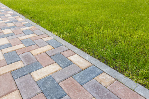 Best Driveway Pavers Near Me  in Palmview, TX